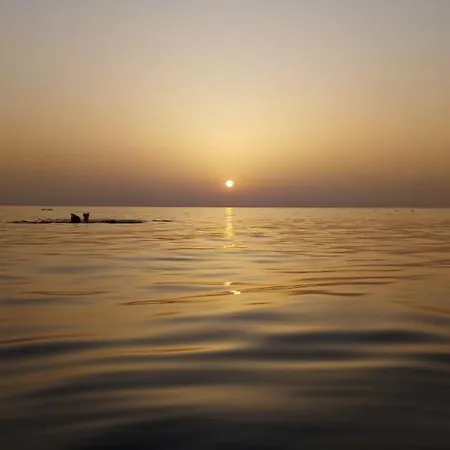 Hébergement de vacances Orizzonte Blue *